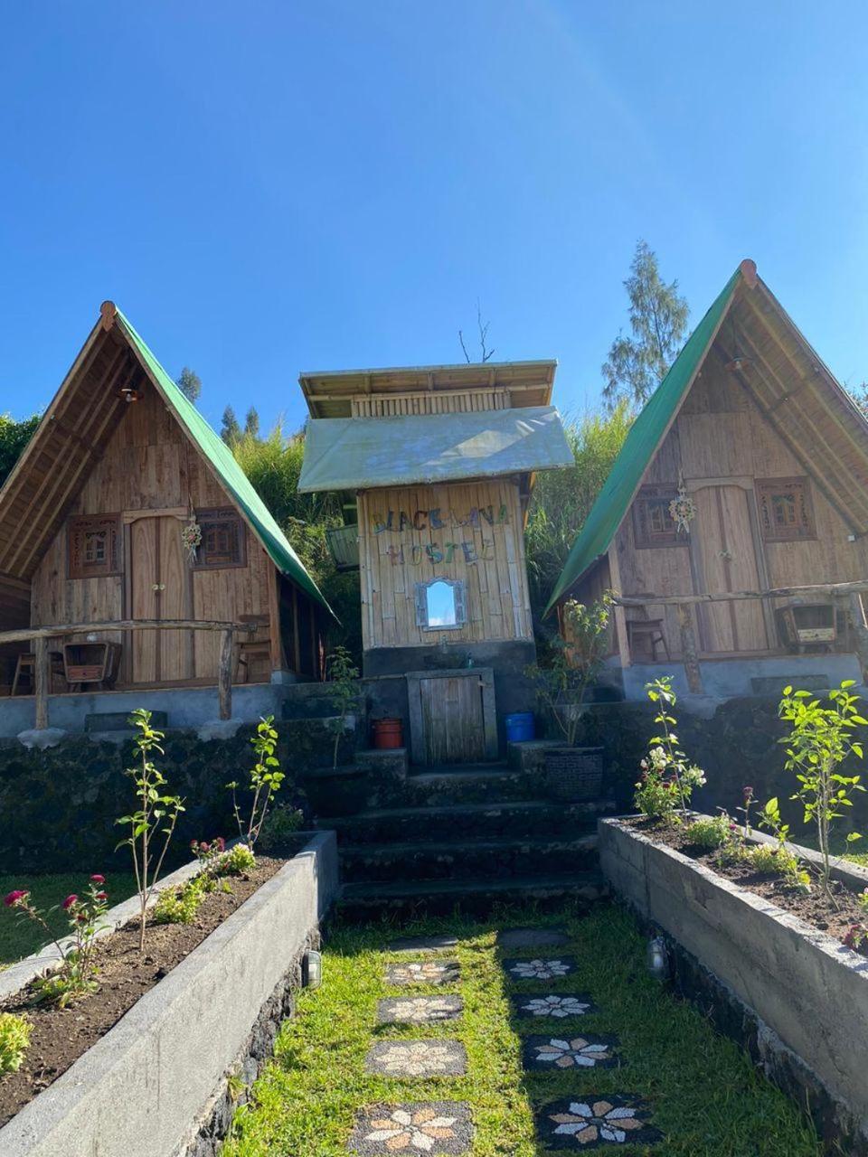 Black Lava Hostel And Lodge Kintamani  Room photo